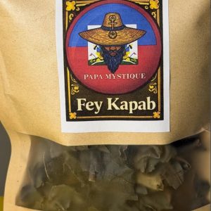 Fey Kapab- Papa Mystique Fey Vodou Ayisen
