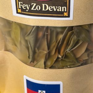 Fey Zo Devan- Papa Mystique Fey Vodou Ayisen